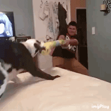 狗狗因为睡觉太死，成果被...-15.gif