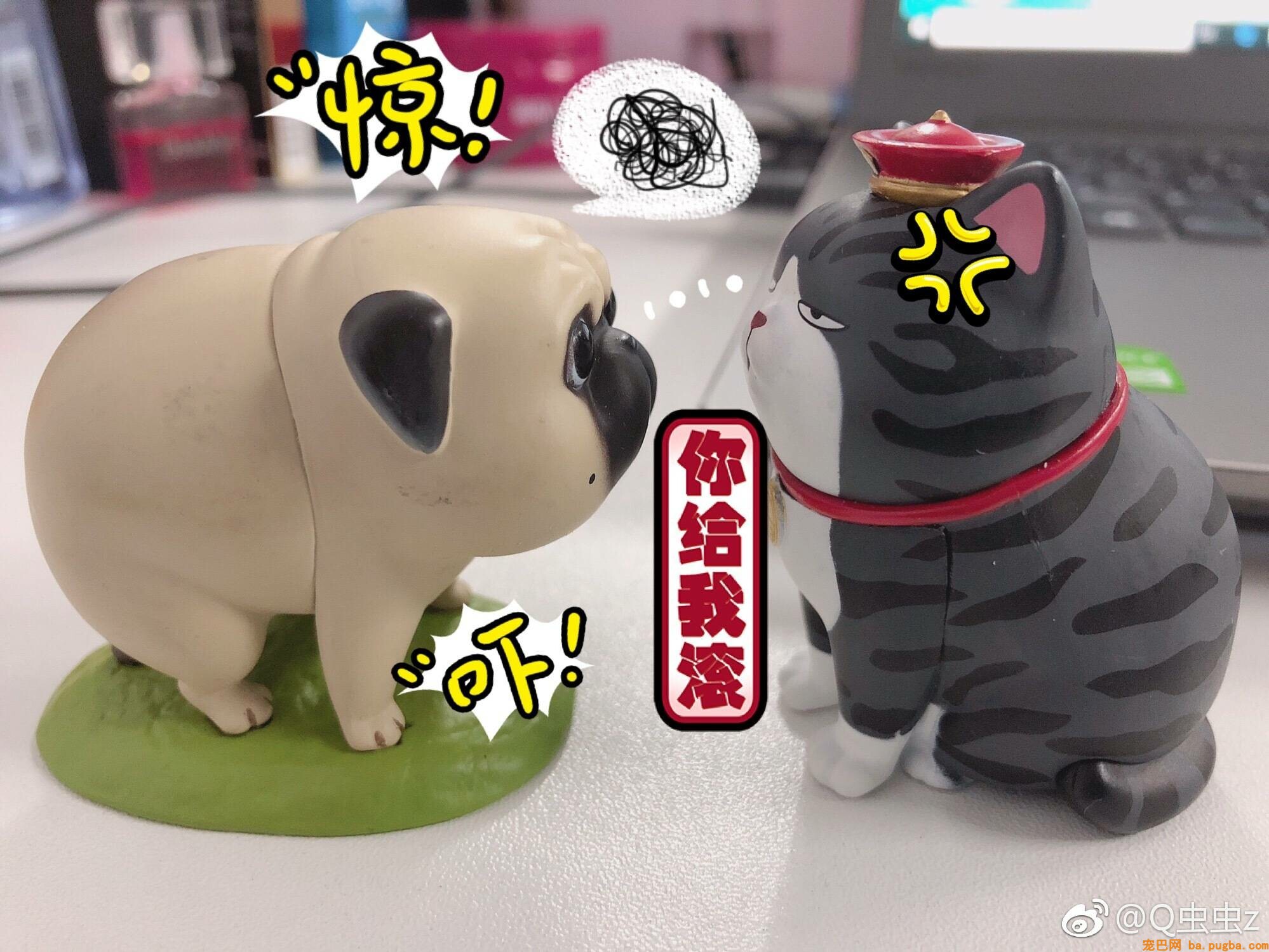 QQ图片20190219164431.jpg