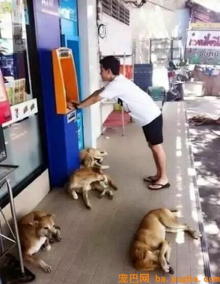 漂泊狗在超市门口蹭冷气，成果却被……-13.jpeg