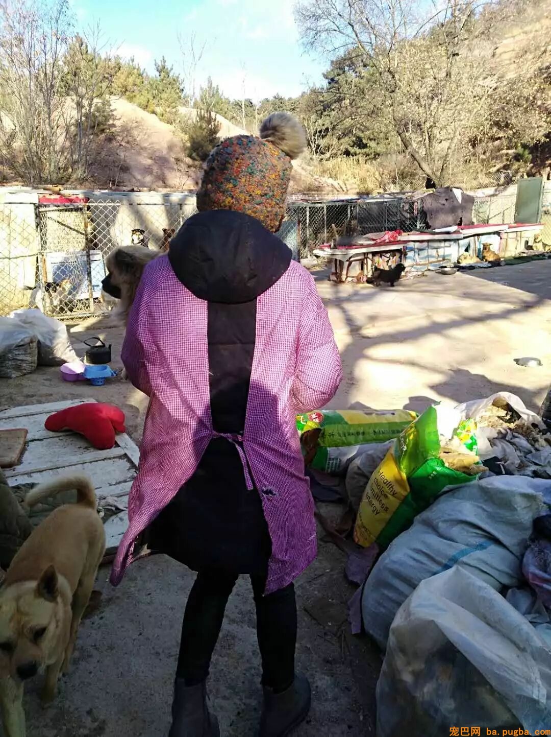 漂泊狗被人无故砍了三刀，血流不止，五年没哭过的王阿姨失声痛哭-6.jpeg