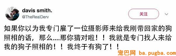 老妈允许养狗后，爸爸竟然哭了：我委屈巴巴乞求了四年...-3.jpeg