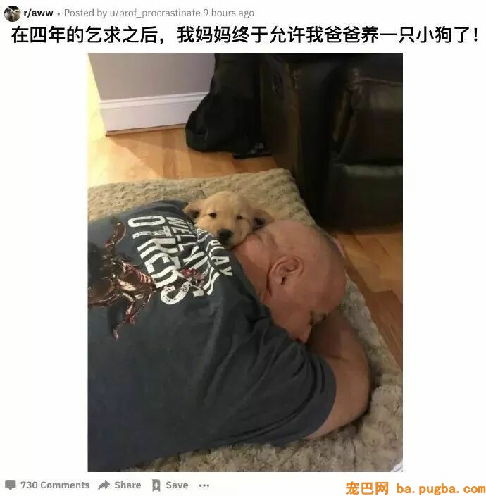 老妈允许养狗后，爸爸竟然哭了：我委屈巴巴乞求了四年...-1.jpeg