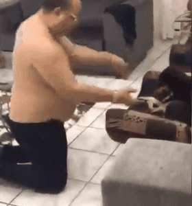 老妈允许养狗后，爸爸竟然哭了：我委屈巴巴乞求了四年...-8.gif