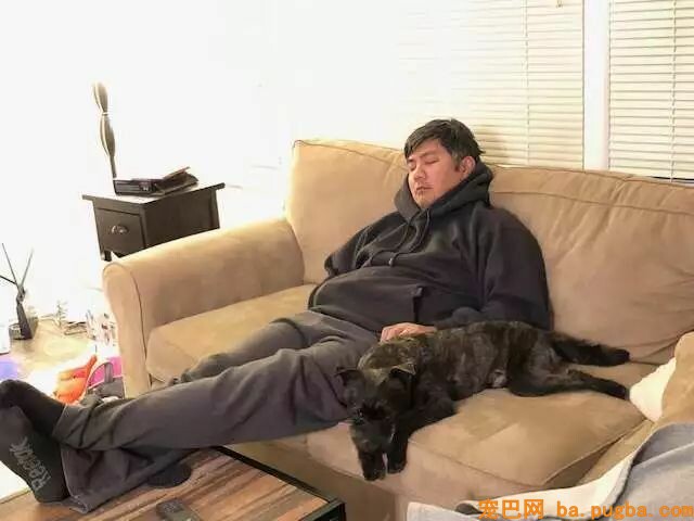 老妈允许养狗后，爸爸竟然哭了：我委屈巴巴乞求了四年...-11.jpeg