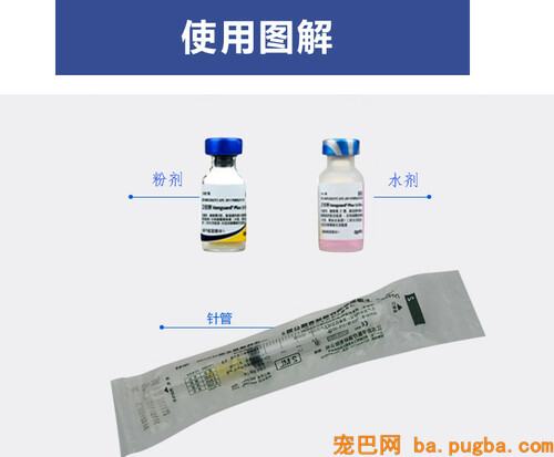 给狗狗打疫苗