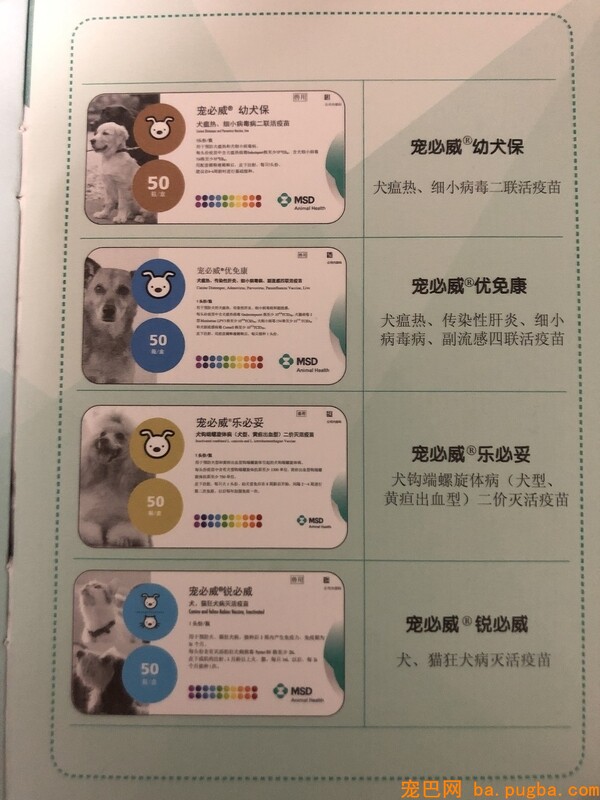 宠必威.jpg