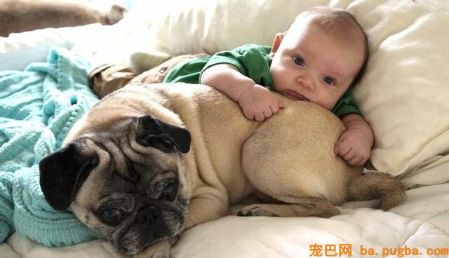 baby-dog-images-15.jpg