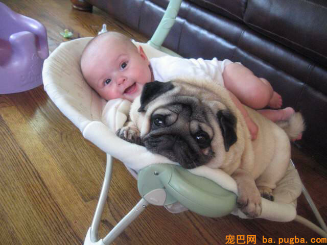 cute-baby-with-the-vodafone-dog-cute-babies.jpg