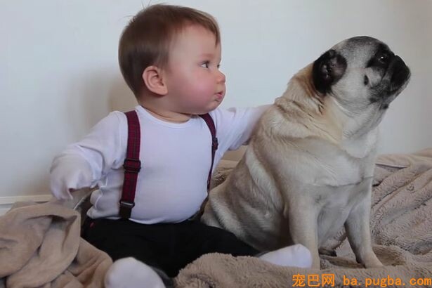 GRABS-Adorable-baby-cuddling-pugs-becomes-Insta-famous.jpg