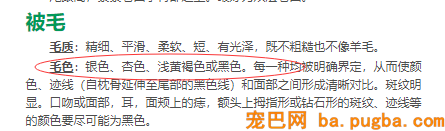 CKU-巴哥-毛色