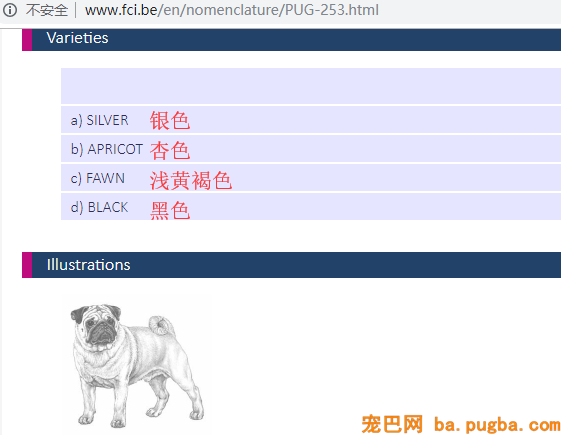 FCI-巴哥毛色说明
