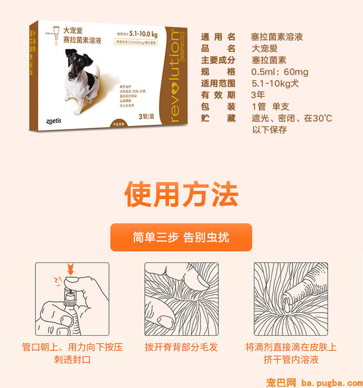 大宠爱01.jpg