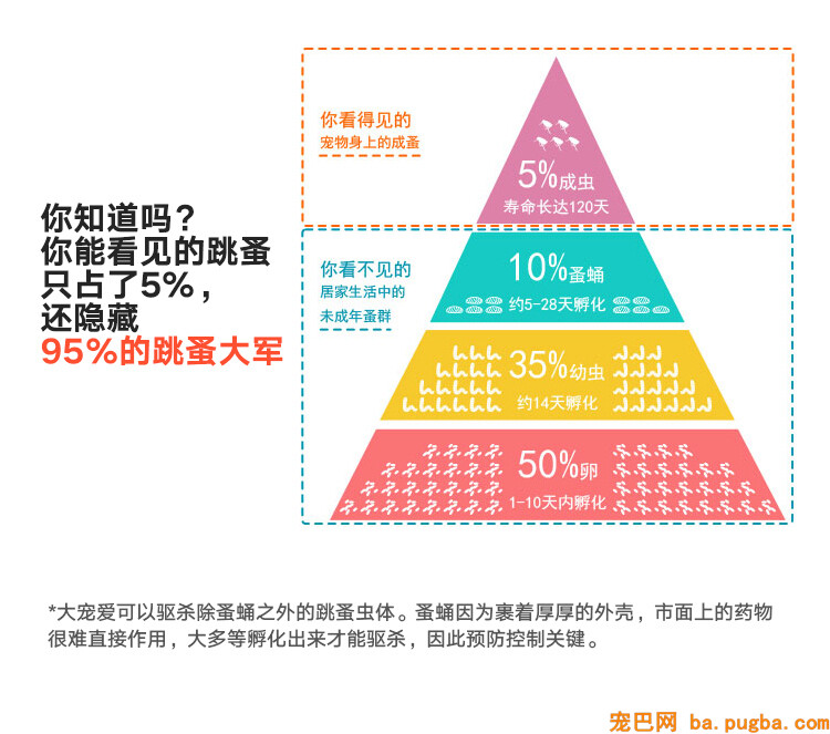 大宠爱驱虫
