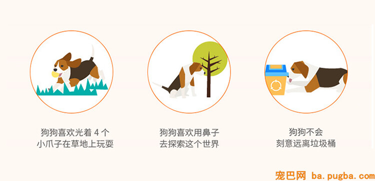 大宠爱杀灭耳螨