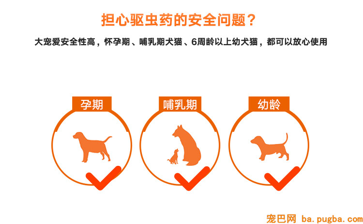 大宠爱驱虫