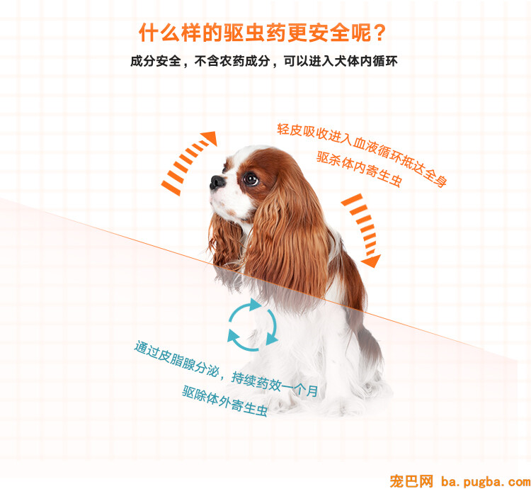 大宠爱驱虫