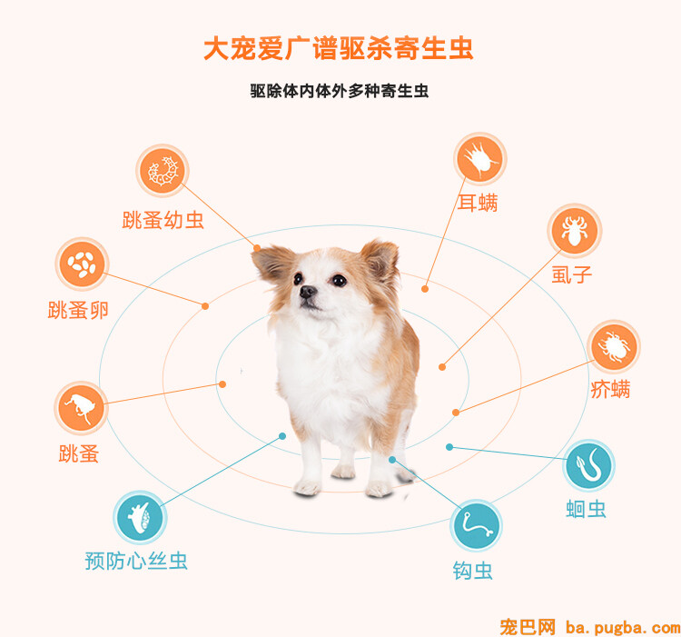 大宠爱驱虫