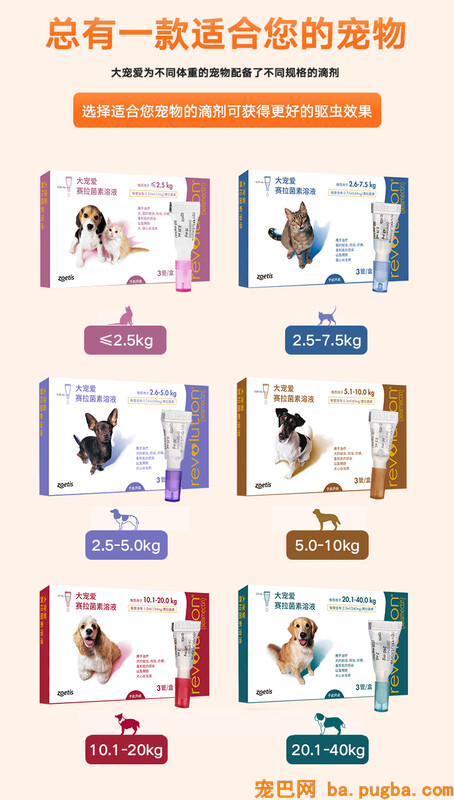 大宠爱