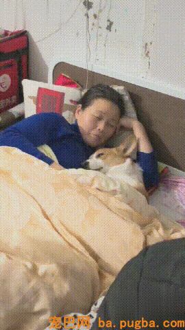柯基被奶奶搂在怀里，看见主人后，竟然给了一个很搬弄的眼神...-1.gif
