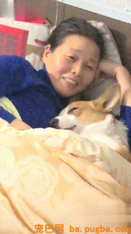 柯基被奶奶搂在怀里，看见主人后，竟然给了一个很搬弄的眼神...-2.gif