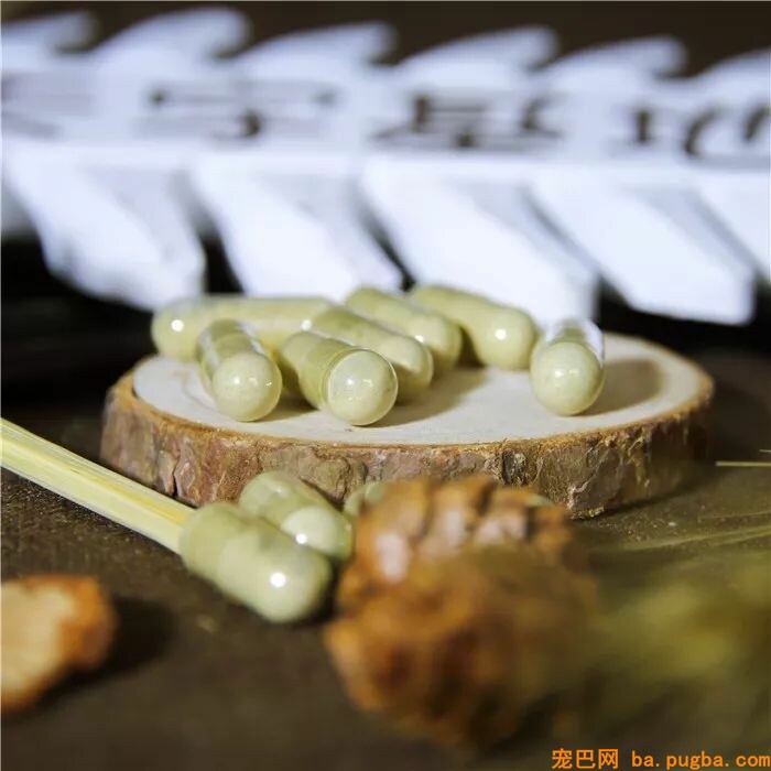 60斤老狗关节痛，麻麻每天背着上下五楼：只要你安康，我做什么都愿意-10.jpeg