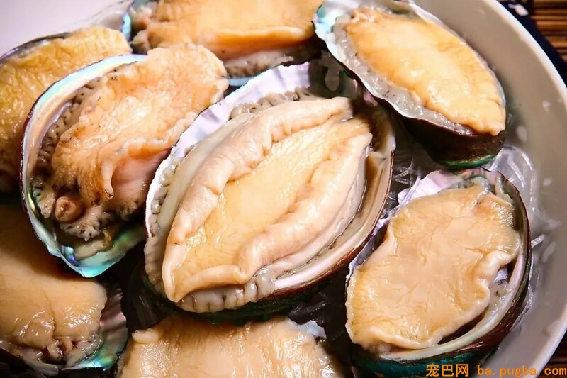 60斤老狗关节痛，麻麻每天背着上下五楼：只要你安康，我做什么都愿意-12.jpeg