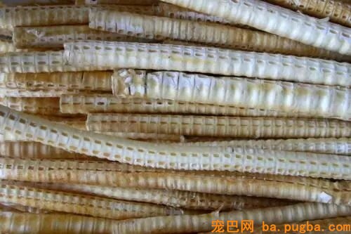 60斤老狗关节痛，麻麻每天背着上下五楼：只要你安康，我做什么都愿意-13.jpeg