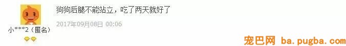60斤老狗关节痛，麻麻每天背着上下五楼：只要你安康，我做什么都愿意-16.jpeg