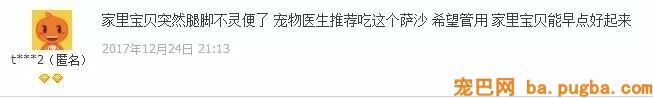 60斤老狗关节痛，麻麻每天背着上下五楼：只要你安康，我做什么都愿意-17.jpeg
