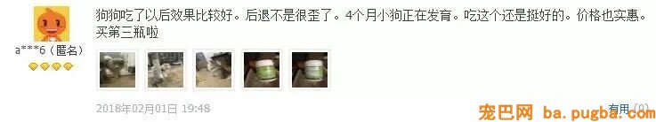 60斤老狗关节痛，麻麻每天背着上下五楼：只要你安康，我做什么都愿意-15.jpeg