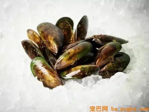 60斤老狗关节痛，麻麻每天背着上下五楼：只要你安康，我做什么都愿意-11.jpeg