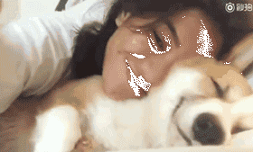 狗狗为什么喜欢睡你的床，还总拿屁股怼你？！-8.gif