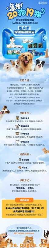狗狗为什么喜欢睡你的床，还总拿屁股怼你？！-9.jpeg