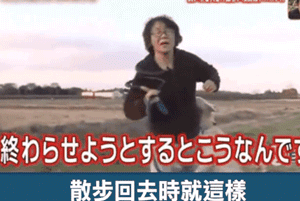 狗狗安步后不想回家竟使出如此奇招，心疼这位主人……-9.gif
