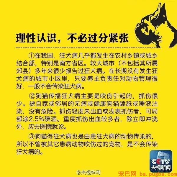 男孩被狗舔伤口40天后狂犬病死亡？专家：跟这只狗不妨！-7.jpeg