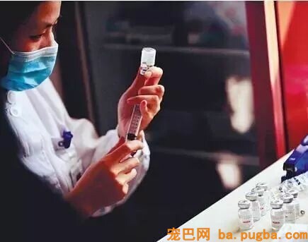 男孩被狗舔伤口40天后狂犬病死亡？专家：跟这只狗不妨！-5.jpeg