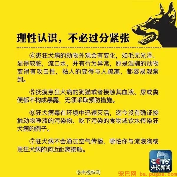 男孩被狗舔伤口40天后狂犬病死亡？专家：跟这只狗不妨！-8.jpeg