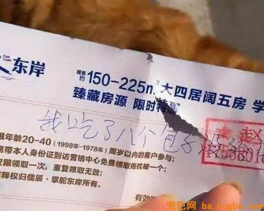 金毛本人跑没影，回来的时候脑袋上贴了张字条，主人看完笑喷！-7.jpeg
