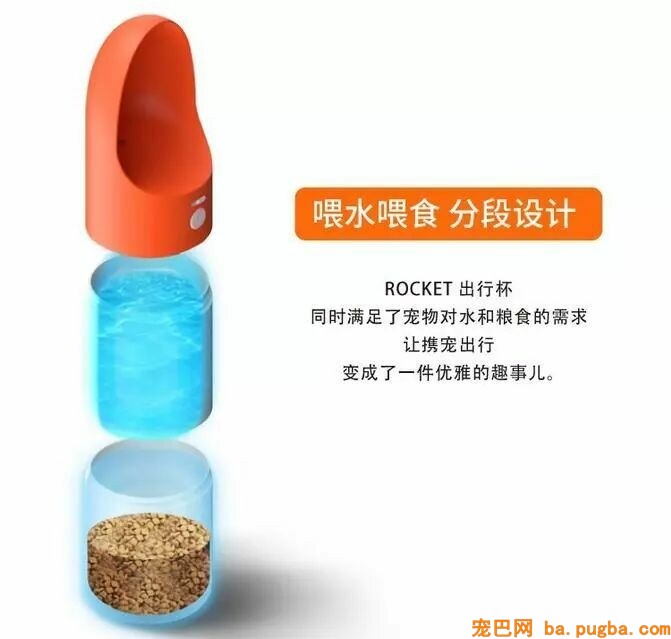 金毛本人跑没影，回来的时候脑袋上贴了张字条，主人看完笑喷！-10.jpeg