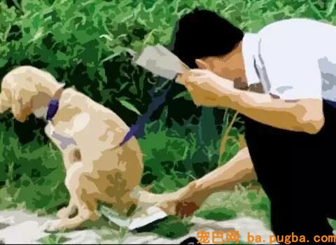一把屎一把尿的把狗狗拉扯大，我容易嘛！-7.jpeg