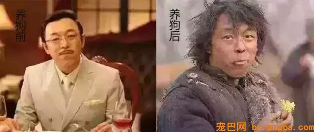 一把屎一把尿的把狗狗拉扯大，我容易嘛！-2.jpeg