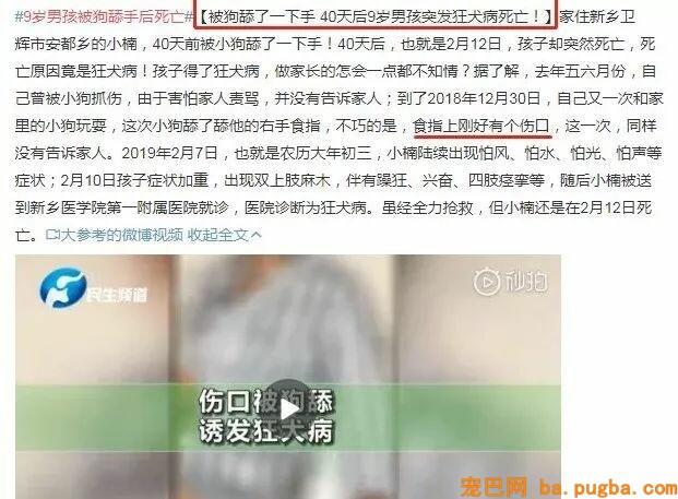 被狗舔手致死？医生辟谣：根本没可能！-1.jpeg