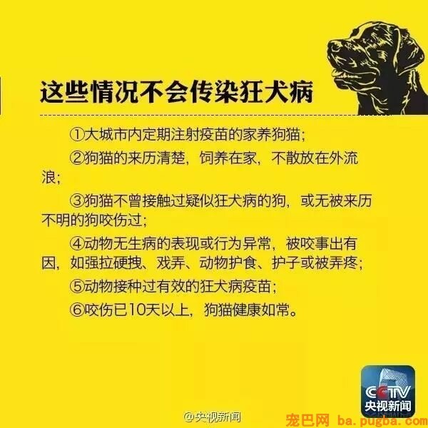 被狗舔手致死？医生辟谣：根本没可能！-4.jpeg