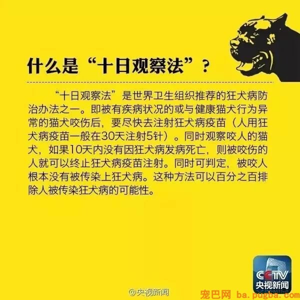 被狗舔手致死？医生辟谣：根本没可能！-5.jpeg