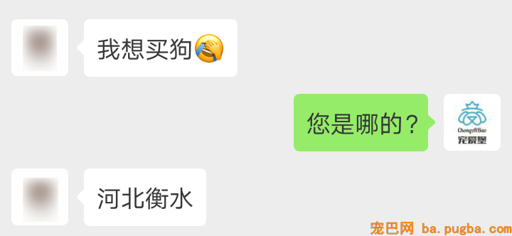 为了买狗，他们找到了我们客服……-3.png