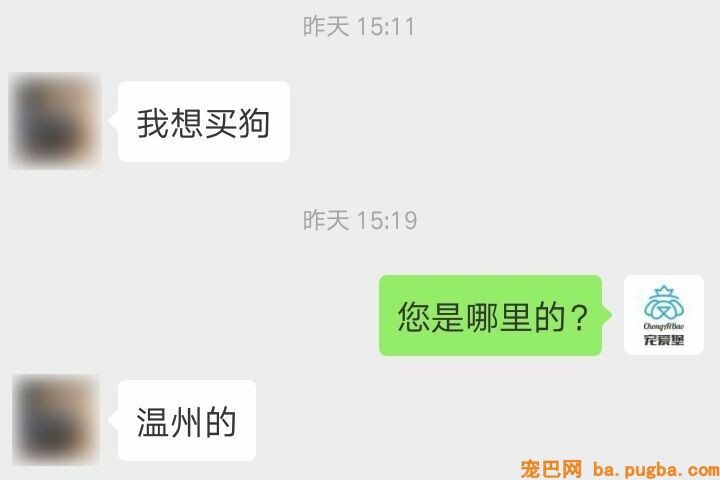 为了买狗，他们找到了我们客服……-5.jpeg