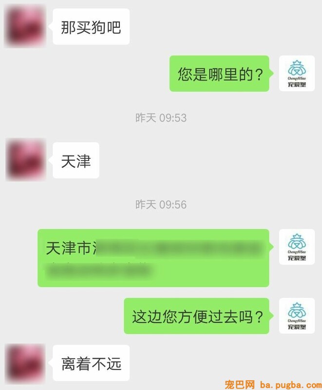 为了买狗，他们找到了我们客服……-6.jpeg