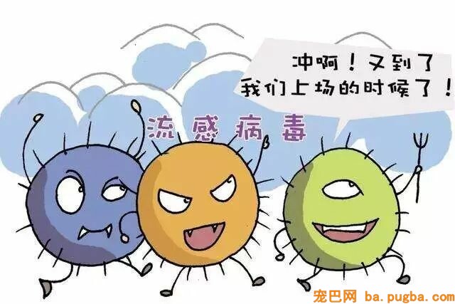 养了宠物你还想安静沉着僻静的上厕所？做梦！-15.jpeg
