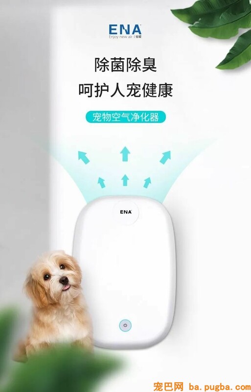 养了宠物你还想安静沉着僻静的上厕所？做梦！-17.jpeg