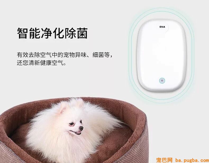 养了宠物你还想安静沉着僻静的上厕所？做梦！-18.jpeg